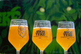 800x600-anosteke-verres-6529-17573
