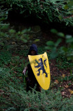 photos-guillaume-20973