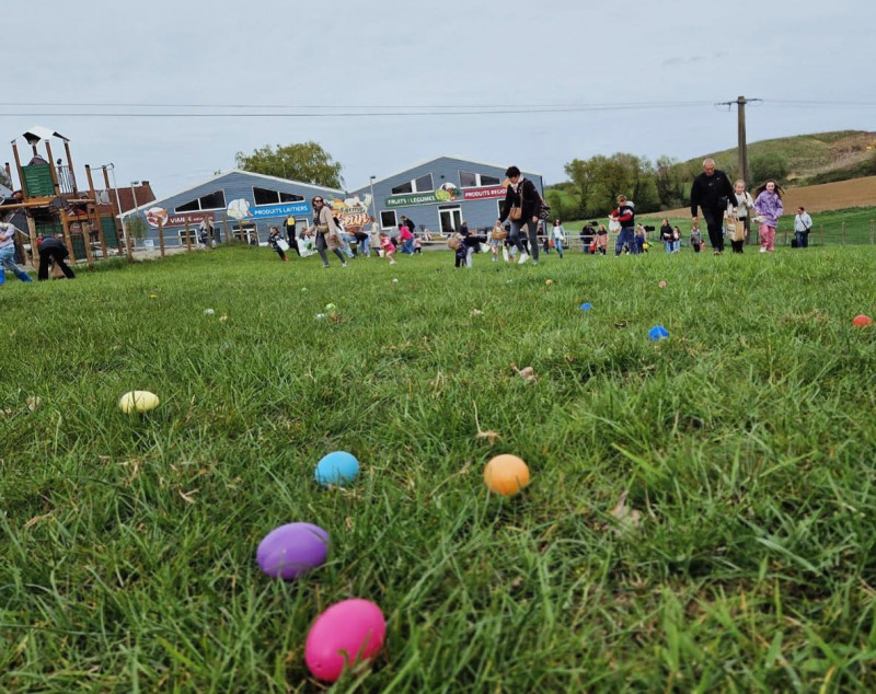 491379414-1099868958834634-4035677774002495323-n-21537